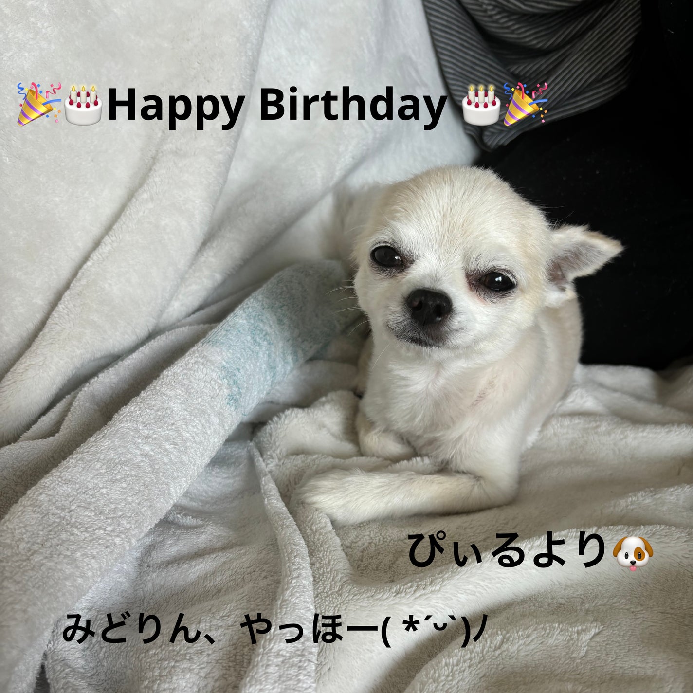 ディオール ヴェルニ/Dior/マニキュアを使ったクチコミ(7枚目)