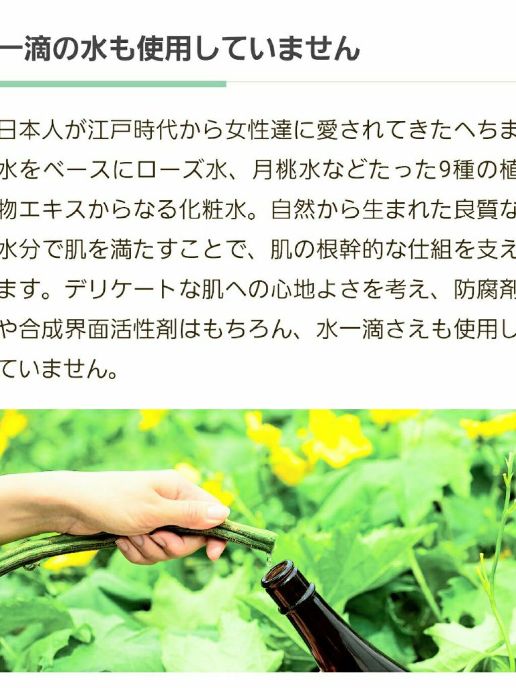 ネイチャーズフォー ヒーリングローション/Natures for/化粧水を使ったクチコミ（3枚目）