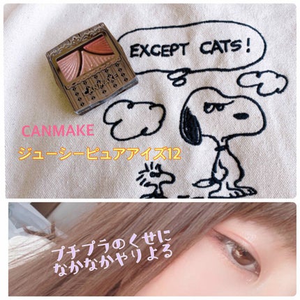 ジューシーピュアアイズ/キャンメイク/アイシャドウパレットを使ったクチコミ(1枚目)