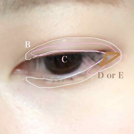 【旧品】パーフェクトスタイリストアイズ/キャンメイク/アイシャドウパレットを使ったクチコミ(3枚目)