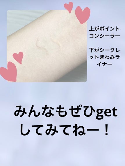 シークレットキワミライナー R/CipiCipi/リキッドアイライナーを使ったクチコミ(4枚目)