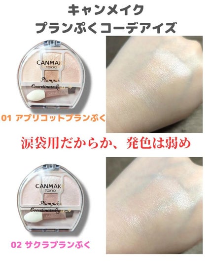 プランぷくコーデアイズ/キャンメイク/パウダーアイシャドウを使ったクチコミ(2枚目)