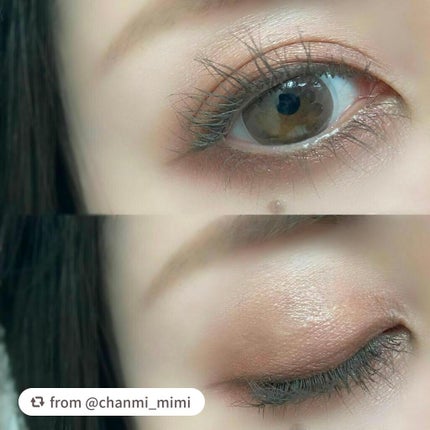 パノラマデザイン アイパレット/Visée/アイシャドウパレットを使ったクチコミ(2枚目)