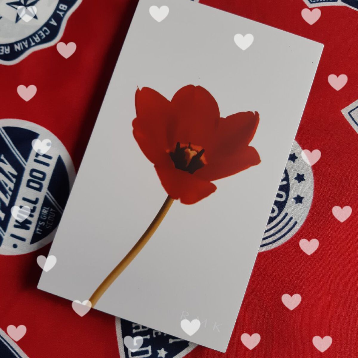 ウォーム メモリーズ アイシャドウパレット/RMK/アイシャドウパレットを使ったクチコミ(1枚目)