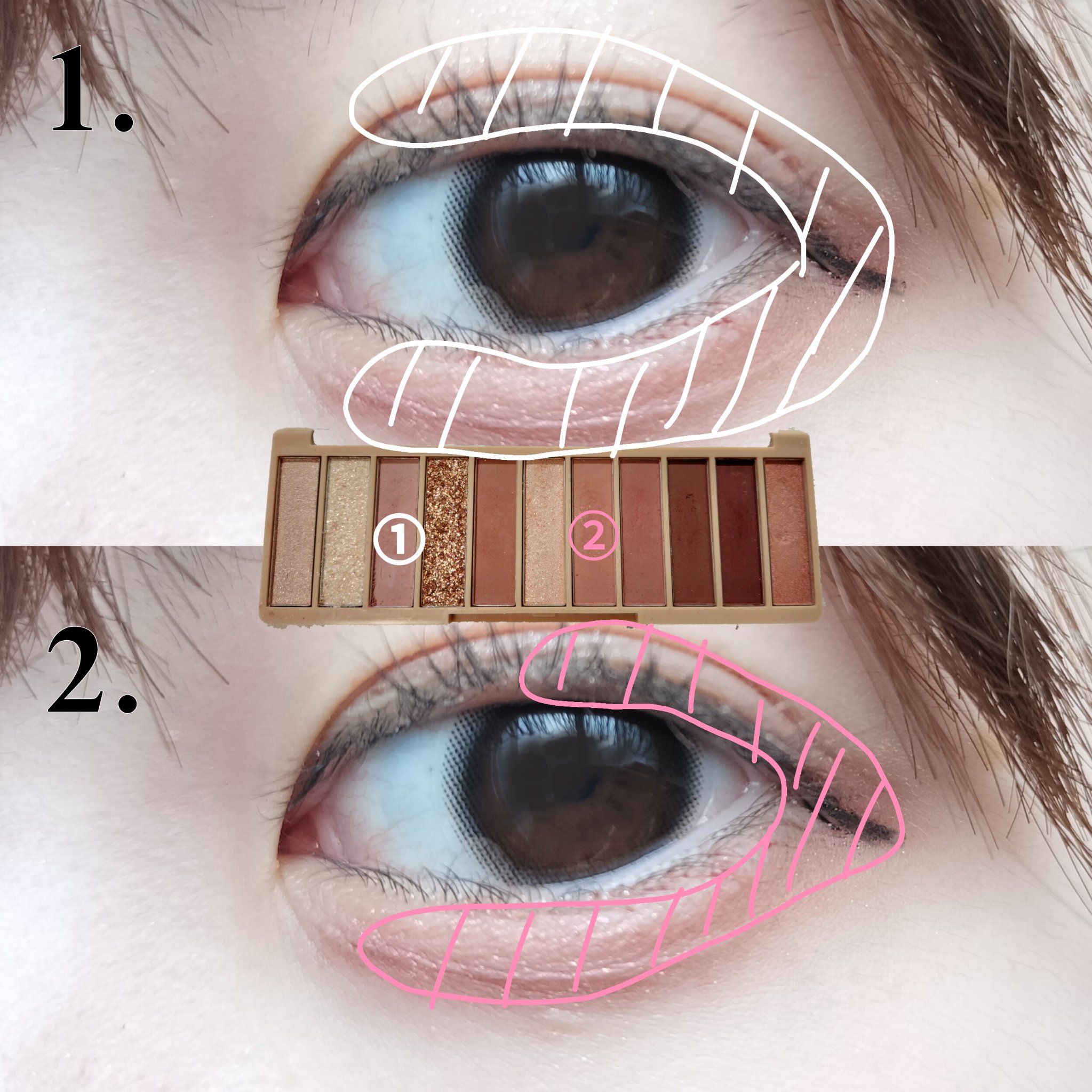 アイシャドウパレット/coou/アイシャドウパレットを使ったクチコミ（2枚目）