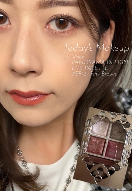 パノラマデザイン アイパレット/Visée/アイシャドウパレットを使ったクチコミ(1枚目)