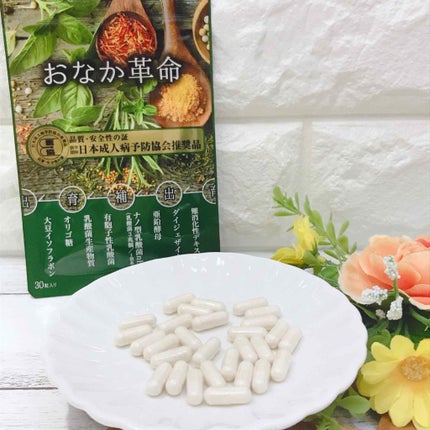 おなか革命/極選市場/健康サプリメントを使ったクチコミ(2枚目)