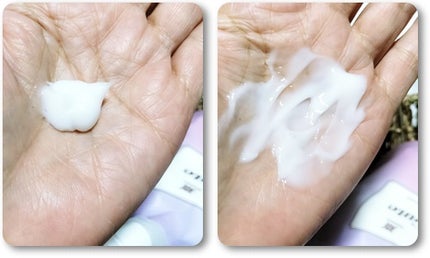 キュートヘアケアエッセンス/iqumore/頭皮ローションを使ったクチコミ(5枚目)