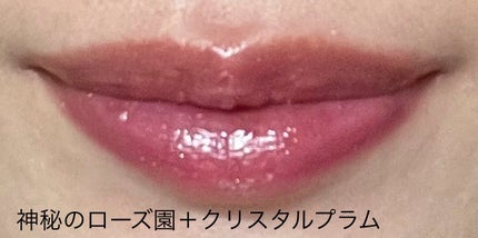 エッセンス リッププランパー/Visée/リッププランパーを使ったクチコミ(5枚目)