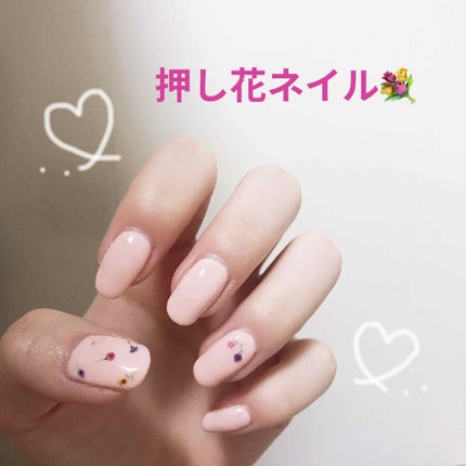 ナチュラルネイルカラーN 004 ライトピンク/デュカート/マニキュアの画像