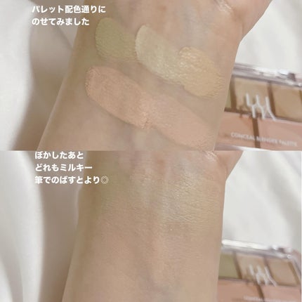 コンシールブレンダーパレット/LUNA/パレットコンシーラーを使ったクチコミ(4枚目)