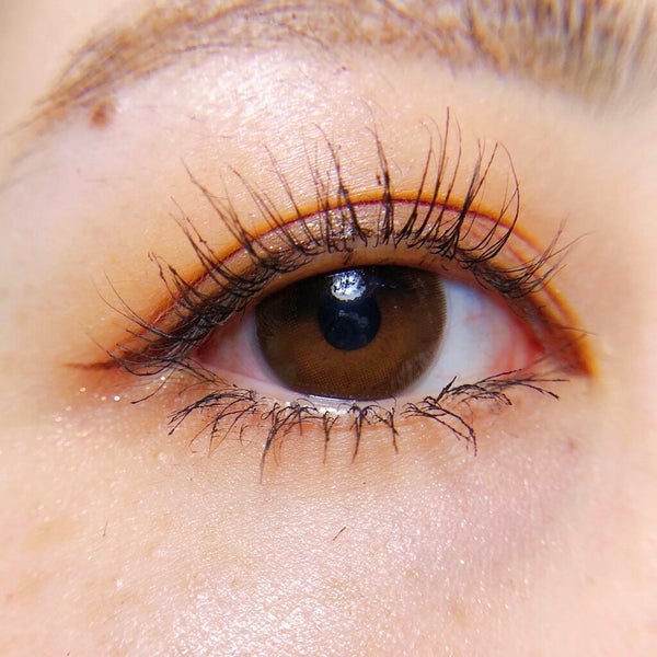 大英博物館 エジプトシリーズ アイシャドウパレット/ZEESEA/アイシャドウパレット by ちゅん