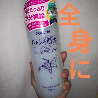 ハトムギ化粧水(ナチュリエ スキンコンディショナー R )/ナチュリエ/化粧水を使ったクチコミ（1枚目）