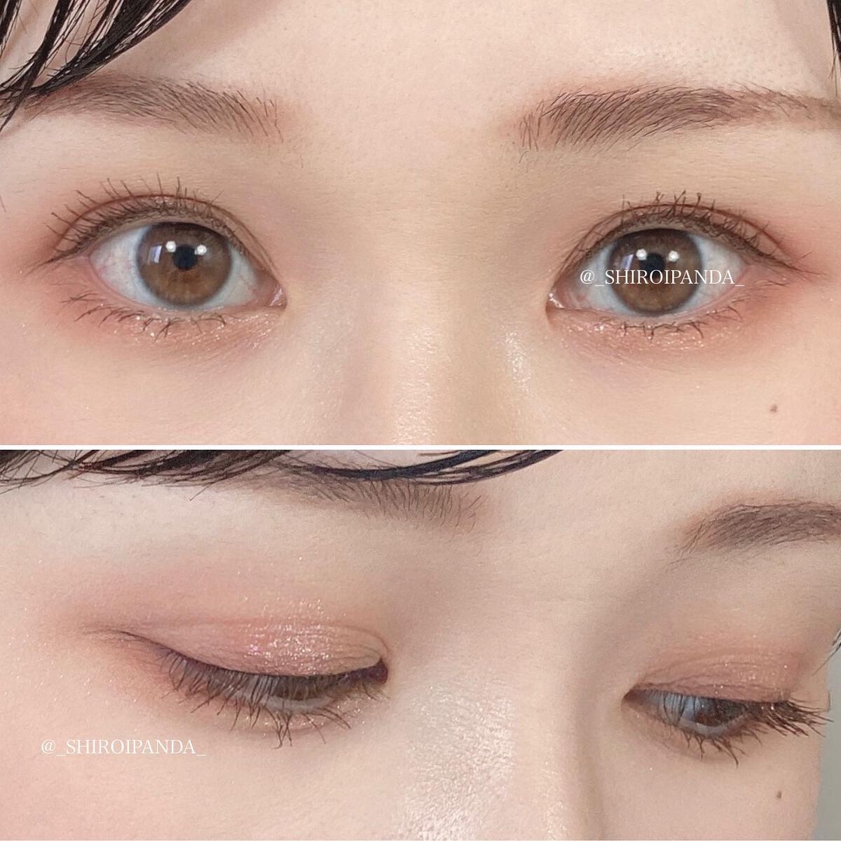 しろいぱんだ on LIPS 「メガ割購入品!▷デイジークシャドウパレット#08フラワーブック..」(4枚目)