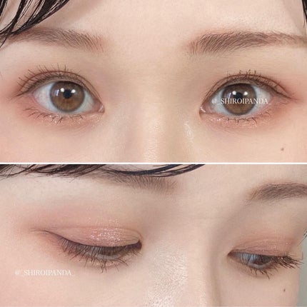 しろいぱんだ on LIPS 「メガ割購入品!▷デイジークシャドウパレット#08フラワーブック..」(4枚目)