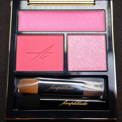 コンスピキュアス アイズ/Amplitude/アイシャドウパレットを使ったクチコミ(2枚目)