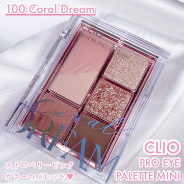 プロ アイパレット ミニ/CLIO/アイシャドウパレットを使ったクチコミ（2枚目）