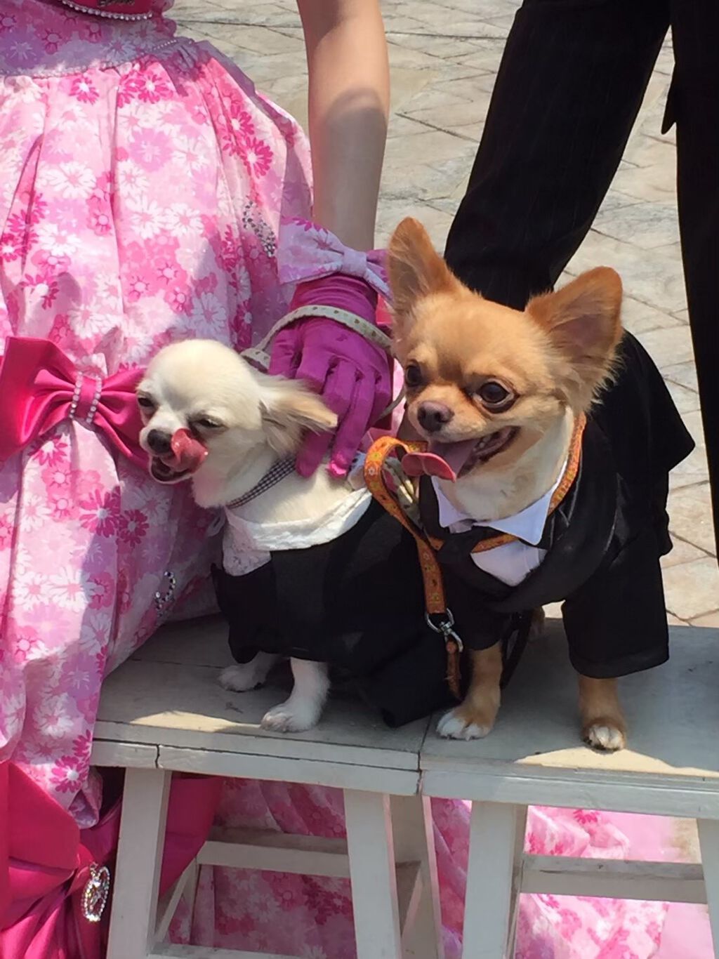 ポーラザハンドクリーム/POLA/ハンドクリームを使ったクチコミ(9枚目)