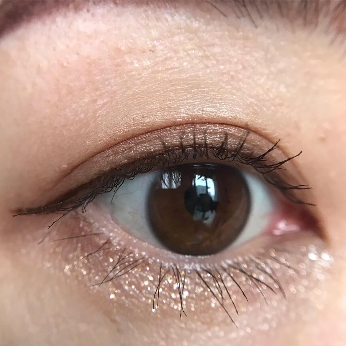 アイカラーレーション/LUNASOL/アイシャドウパレットを使ったクチコミ(6枚目)