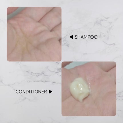 オイルインシャンプー/オイルインコンディショナー (グロス&リペア)/ディアボーテ/市販シャンプーを使ったクチコミ(2枚目)