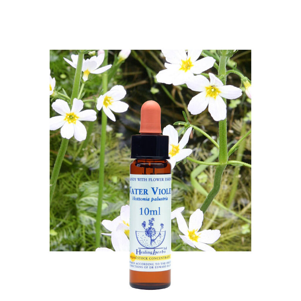 ヒーリングハーブフラワーエッセンス ウォーターバイオレット