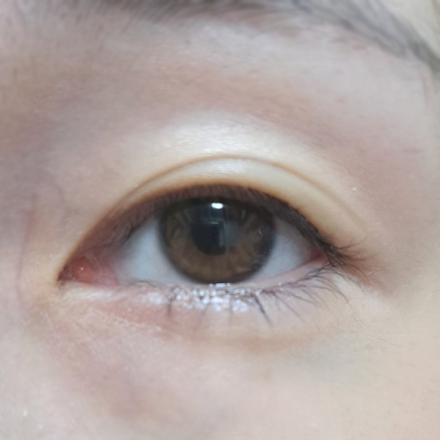 アイトーク スーパーホールド/アイトーク/二重まぶた用アイテムを使ったクチコミ(2枚目)