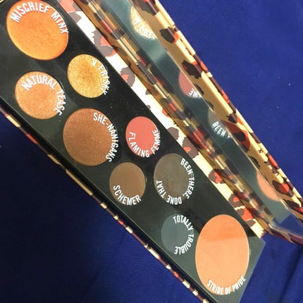 M・A・Cガールズ パレット/M・A・C/メイクアップキットを使ったクチコミ(1枚目)