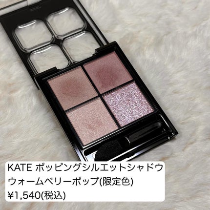 ケイト ポッピングシルエットシャドウ/KATE/アイシャドウパレットを使ったクチコミ(2枚目)