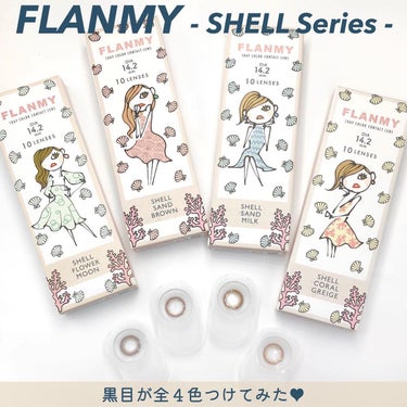 FLANMY 1day（10枚/30枚） シェルサンドブラウン/FLANMY/ワンデー（１DAY）カラコンを使ったクチコミ（2枚目）