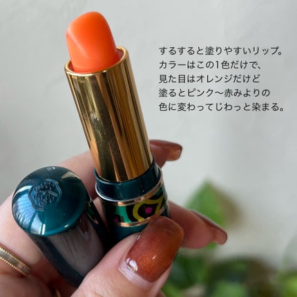 シフォネット | 定番から新作まで人気おすすめ商品のクチコミを シフォネット | 定番から新作まで人気おすすめ商品のクチコミを