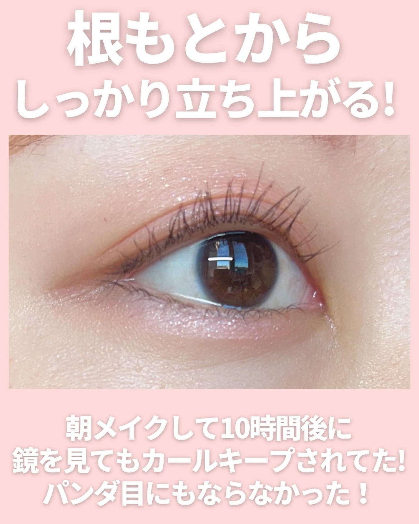 カールアメイジング マスカラ/Elégance/マスカラを使ったクチコミ(6枚目)