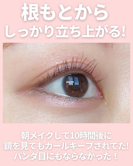 カールアメイジング マスカラ/Elégance/マスカラを使ったクチコミ(6枚目)