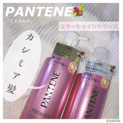 ミラクルズ カラーシャイン シャンプー/トリートメント/パンテーン/市販シャンプーを使ったクチコミ(1枚目)