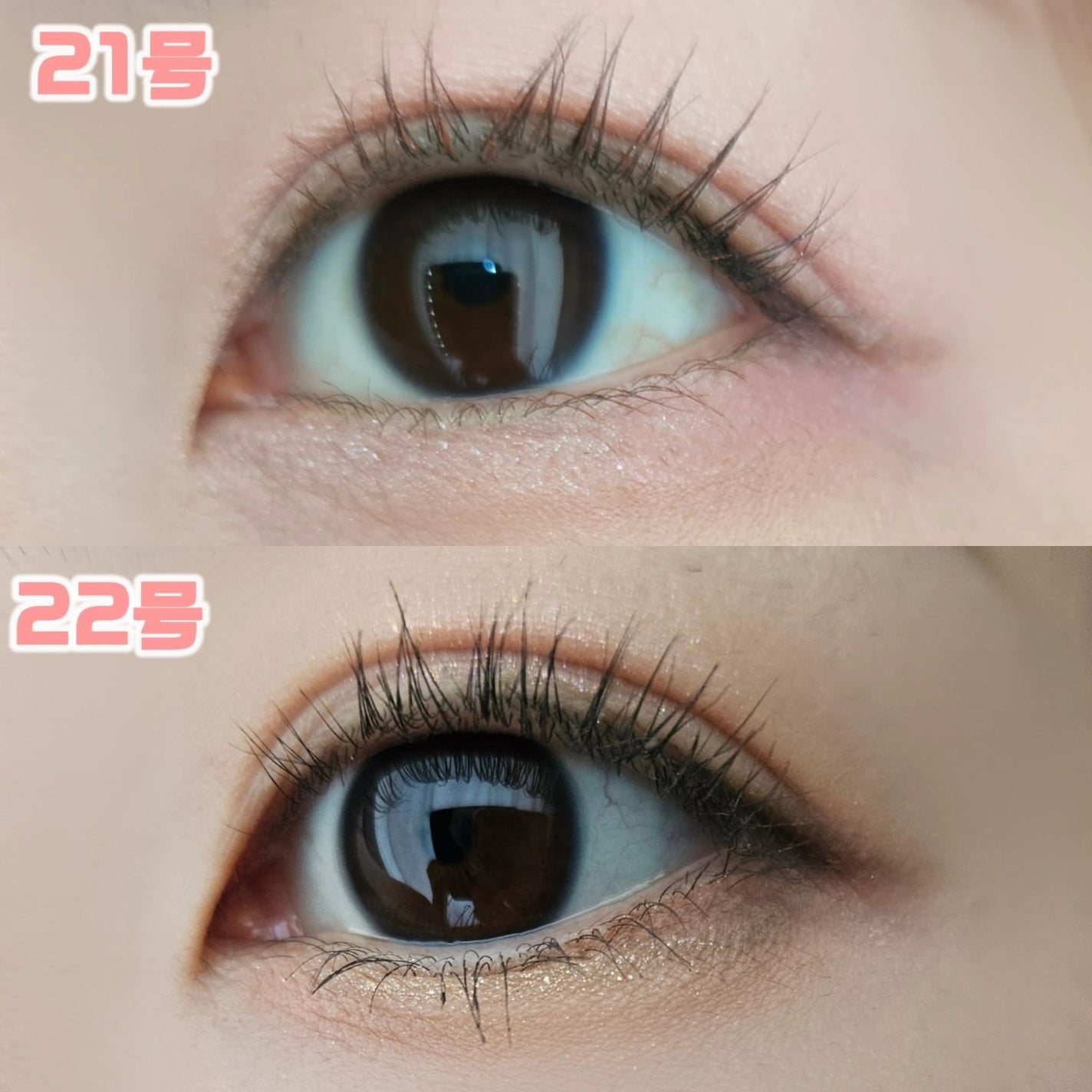 ソフトブラーリングアイパレット/wakemake/アイシャドウパレットを使ったクチコミ(5枚目)