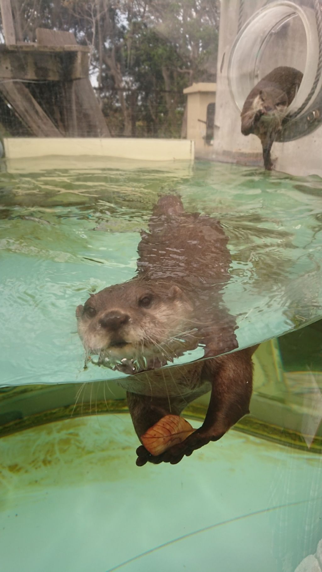 385 on LIPS 「どう頑張っても手の白さと顔の白さの種類が違いました本当にありが..」(1枚目)