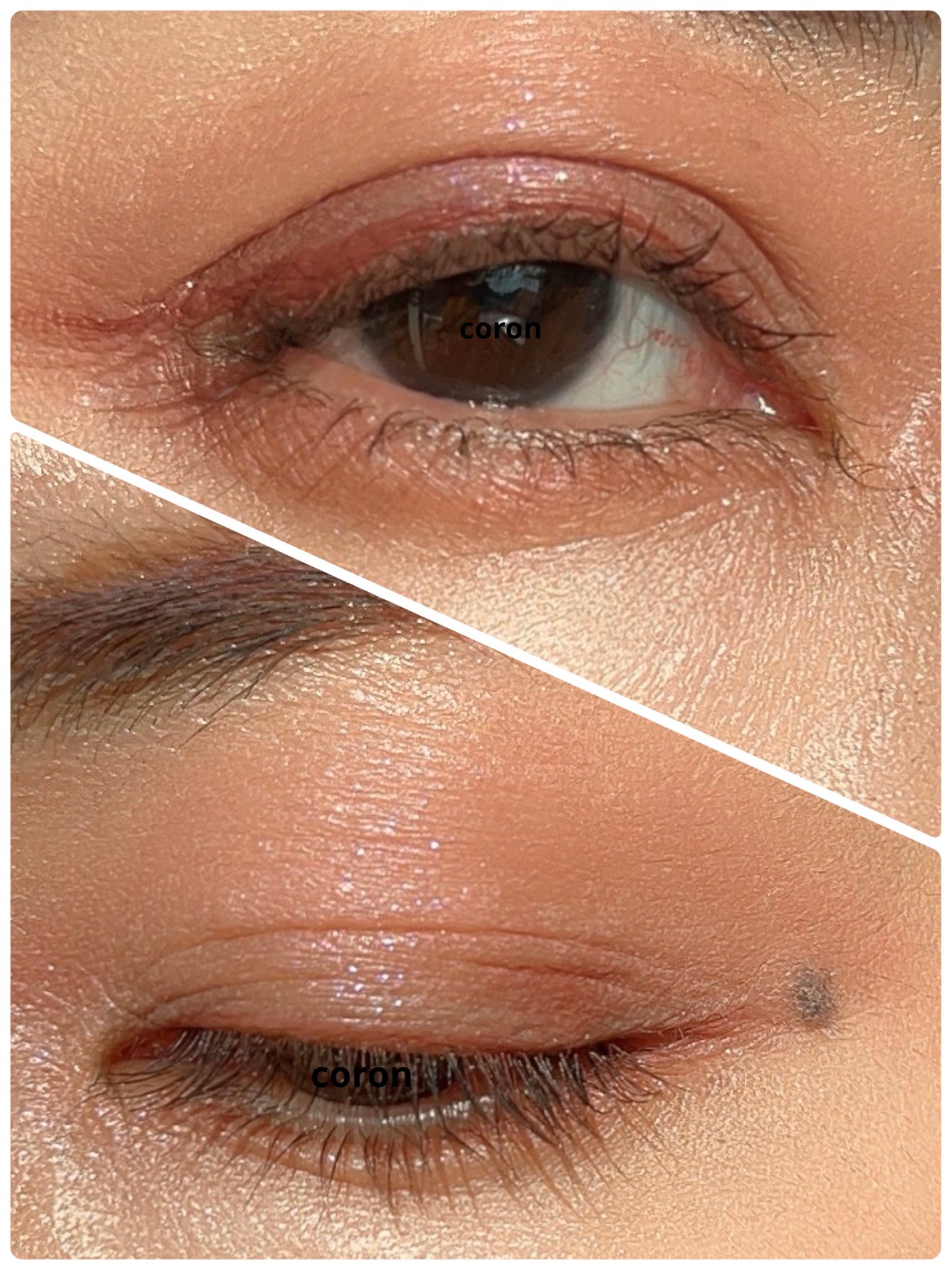 ã¯ãªãŒããŒã¿ããã©ã€ããŒ/ãã£ã³ã¡ã€ã¯/ãžã§ã«ã¢ã€ã©ã€ããŒã䜿ã£ãã¯ãã³ãïŒ2æç®ïŒ