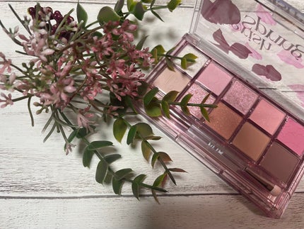 プロ アイ パレット/CLIO/アイシャドウパレットを使ったクチコミ(2枚目)