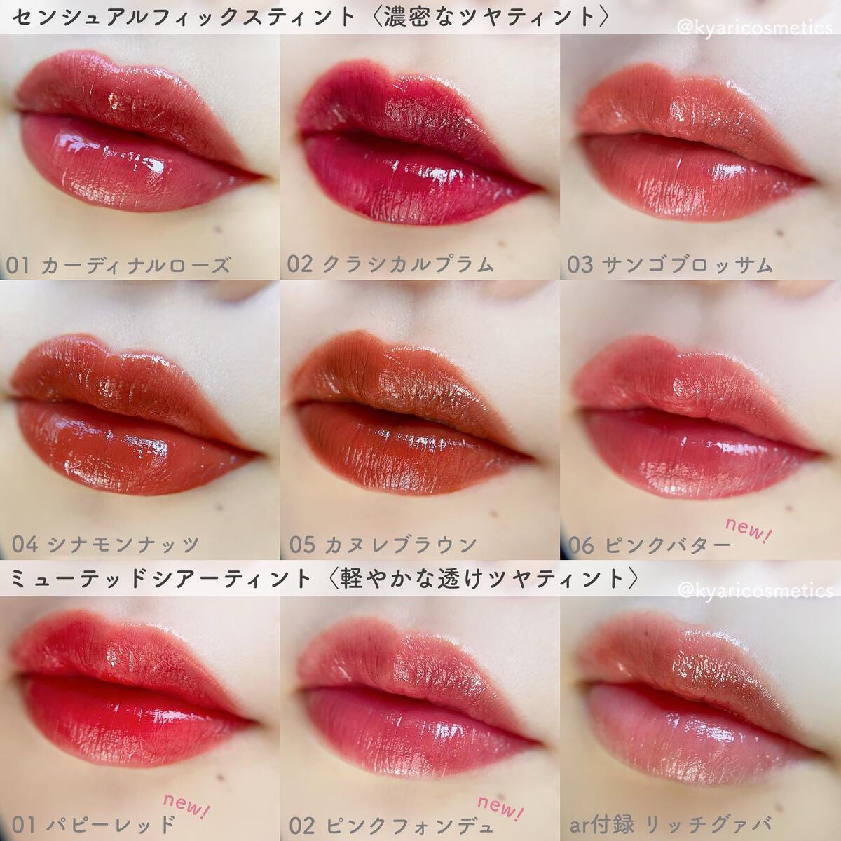 センシュアルフィックスティント｜Ririmewを使った口コミ 【保存版】Ririmew悩んだらコレ見て? by  きゃり??ブルベ冬(乾燥肌/20代後半) LIPS