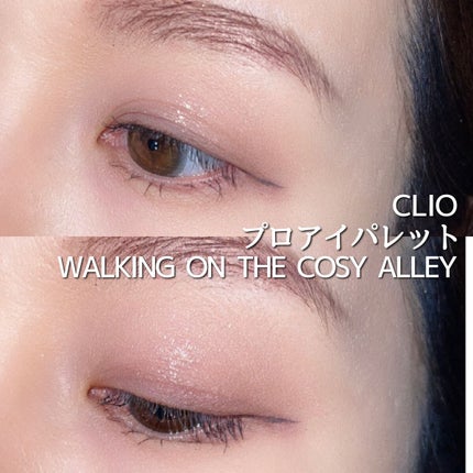 プロ アイ パレット/CLIO/アイシャドウパレットを使ったクチコミ(1枚目)