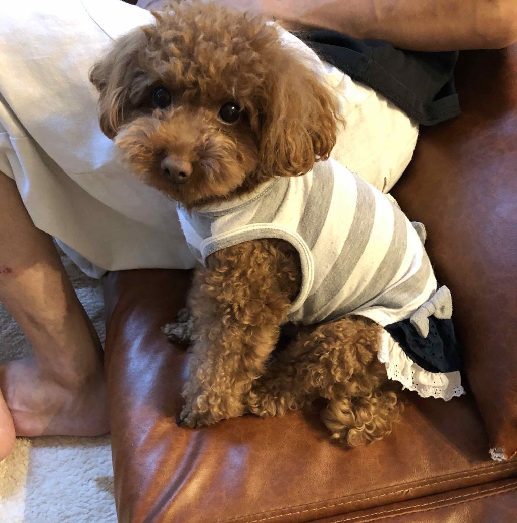 たらちゃん☆follow back100 on LIPS 「皆々様、フォロバありがとうございました。投稿ある方はフォロバし..」(2枚目)