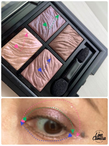 フラロッソ インテンソ アイシャドウ VI01/アスタリフト/アイシャドウパレットの画像