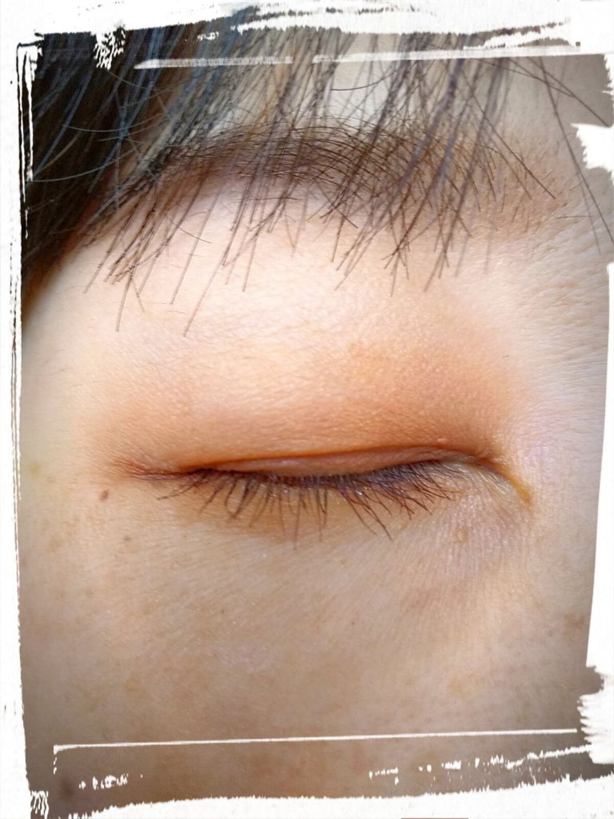 パーフェクトマルチアイズ/キャンメイク/アイシャドウパレットを使ったクチコミ（2枚目）