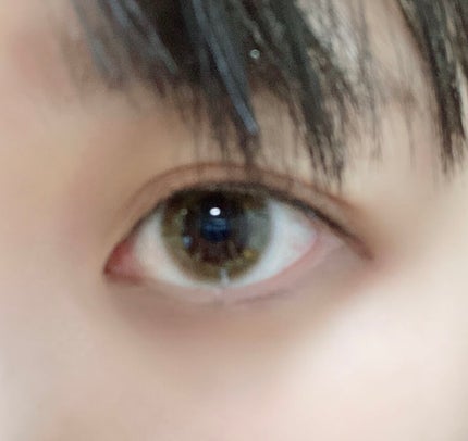 FLANMY 1day ハニートースト/FLANMY/ワンデー(1DAY)カラコンを使ったクチコミ(3枚目)