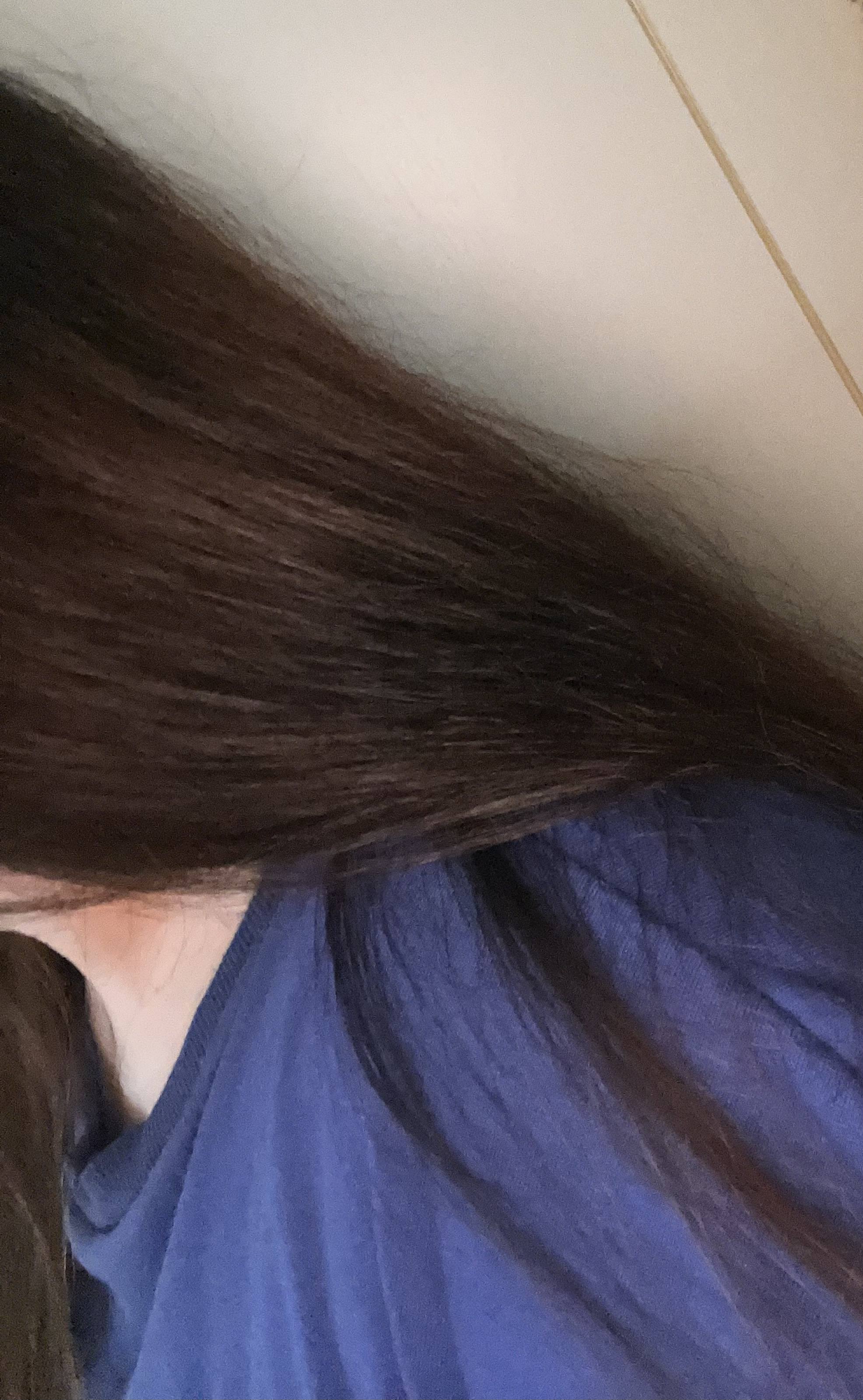 オイルトリートメント #EXヘアリペアオイル/ルシードエル/ヘアオイルを使ったクチコミ（2枚目）