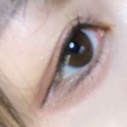 グロッシーリッチ アイズ N/Visée/アイシャドウパレットを使ったクチコミ(2枚目)