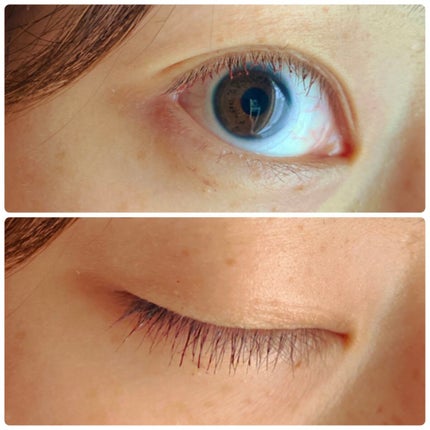 ããŒãã§ã¯ããšã¯ã¹ãã³ã·ã§ã³ ãã¹ã«ã© for ã«ãŒã«/D-UP/ãã¹ã«ã©ã䜿ã£ãã¯ãã³ãïŒ5æç®ïŒ