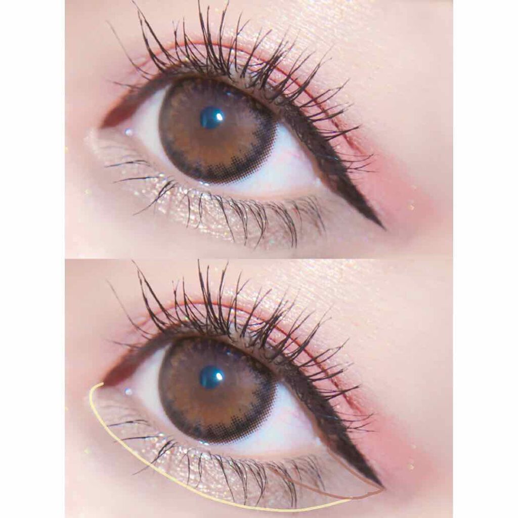 エクスプローラ12色 動物アイシャドウパレット/PERFECT DIARY/アイシャドウパレットを使ったクチコミ（2枚目）