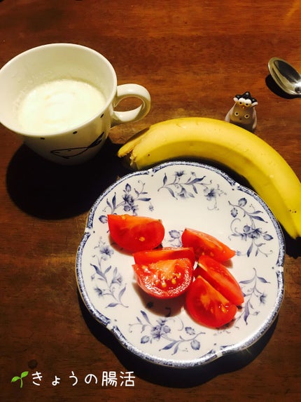 腸がすべて/東洋経済新報社/書籍を使ったクチコミ(1枚目)