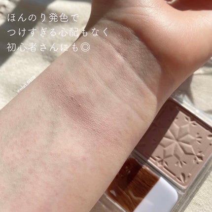 シェーディングパウダー/キャンメイク/シェーディングを使ったクチコミ(4枚目)