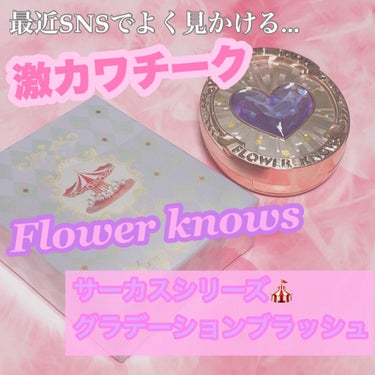 サーカスシリーズ グラデーションブラッシュ /FlowerKnows/パウダーチークを使ったクチコミ（1枚目）